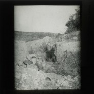 Böhl glass slide 41./2226